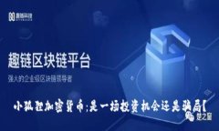 小狐狸加密货币：是一场