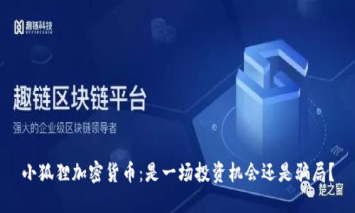 小狐狸加密货币：是一场投资机会还是骗局？