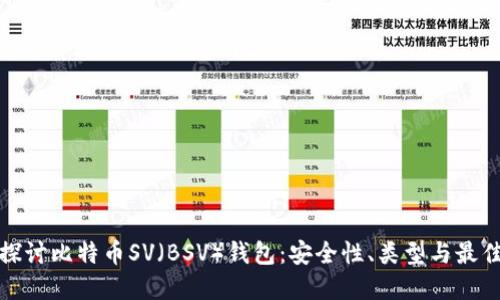 深入探讨比特币SV（BSV）钱包：安全性、类型与最佳选择