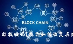 小狐狸币丢了能找回吗？教你如何恢复丢失的数