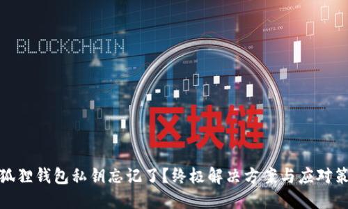 小狐狸钱包私钥忘记了？终极解决方案与应对策略