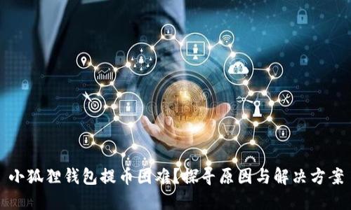 小狐狸钱包提币困难？探寻原因与解决方案