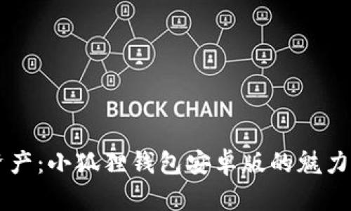 掌握数字资产：小狐狸钱包安卓版的魅力与使用指南