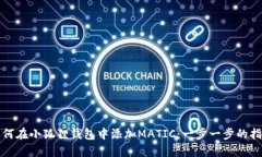 如何在小狐狸钱包中添加MATIC：一步一步的指南