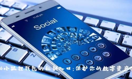 揭秘小狐狸钱包的私钥入口：保护你的数字资产安全