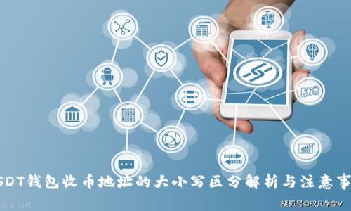 USDT钱包收币地址的大小写区分解析与注意事项