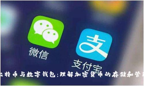 比特币与数字钱包：理解加密货币的存储和管理