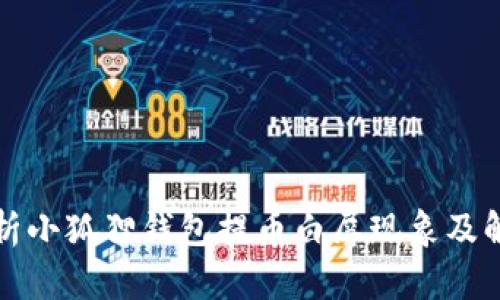 深入解析小狐狸钱包提币白屏现象及解决方案