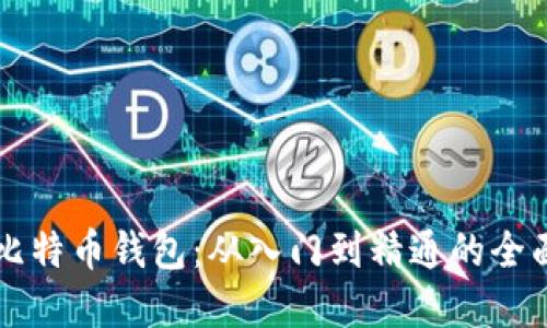 掌握比特币钱包：从入门到精通的全面指南
