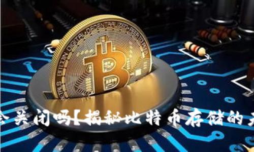 比特币钱包会关闭吗？揭秘比特币存储的未来与安全性