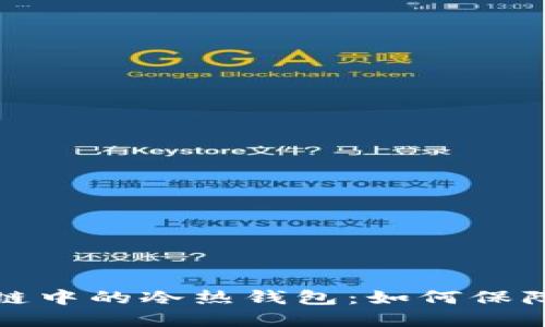 深入了解区块链中的冷热钱包：如何保障数字资产安全