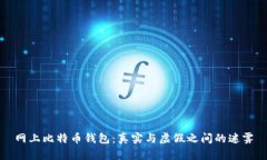 网上比特币钱包：真实与虚假之间的迷雾
