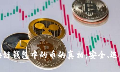 揭开区块链钱包中的币的真相：安全、选择与未来