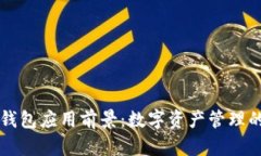 区块链钱包应用前景：数字资产管理的新纪元