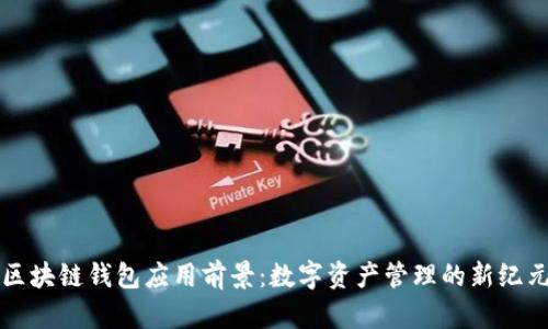 区块链钱包应用前景：数字资产管理的新纪元