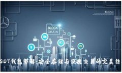 USDT钱包详解：安全存储与