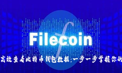 如何高效查看比特币钱包数据：一步一步掌握你的资产
