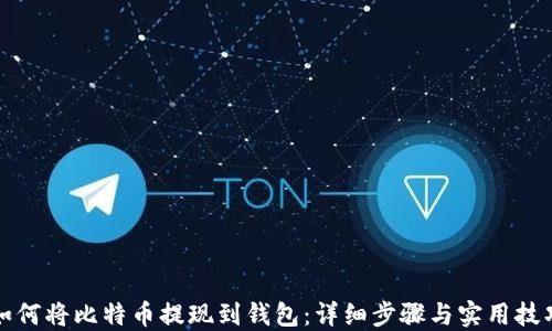 
如何将比特币提现到钱包：详细步骤与实用技巧