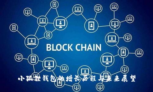 小狐狸钱包的增长历程与未来展望