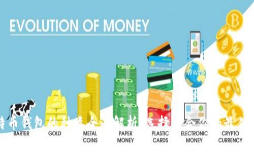 比特币钱包的种类全面解析：选择适合你的最佳选项