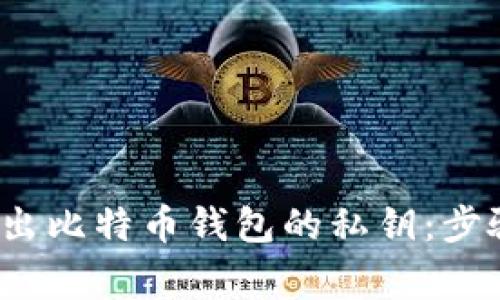  如何安全导出比特币钱包的私钥：步骤与注意事项