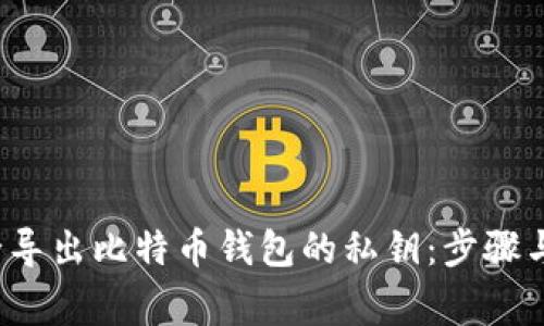  如何安全导出比特币钱包的私钥：步骤与注意事项