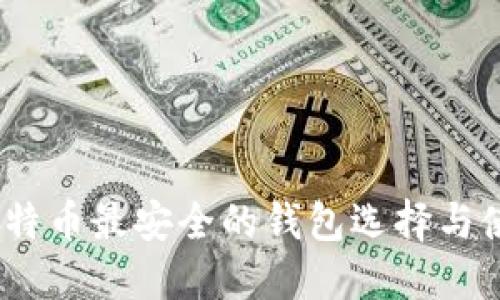 揭秘：比特币最安全的钱包选择与使用指南