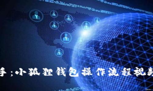 轻松上手：小狐狸钱包操作流程视频全解析