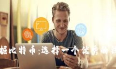 如何高效挖掘比特币：选