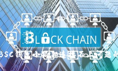 如何解决BSC钱包小狐狸连接不上问题的终极指南