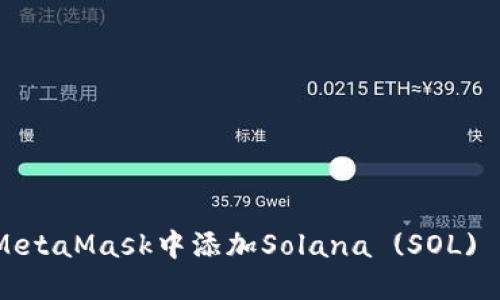 bianoti在MetaMask中添加Solana (SOL) 的详细指南