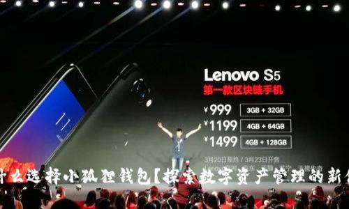 为什么选择小狐狸钱包？探索数字资产管理的新体验