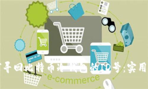 如何寻回比特币冷钱包的ID号：实用指南