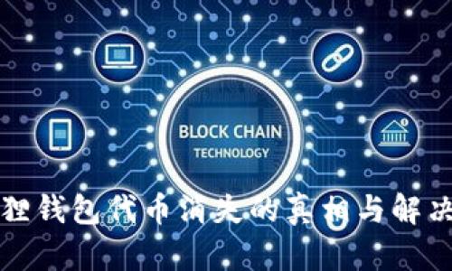 小狐狸钱包代币消失的真相与解决方案