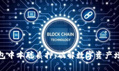 小狐狸钱包中本聪质押：破解数字资产增值新策略